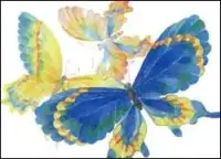 Large Notes - Butterfly Flight