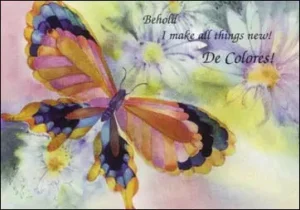 Encouragement Cards - Daisy Butterfly