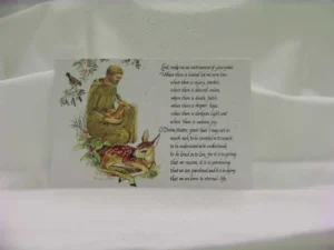 Small Notes - St. Francis