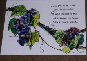 Large Notes -God's Vineyard