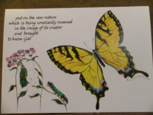 Large Notes- Tiger Swallowtail Butterfly