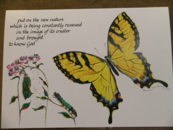 Large Notes- Tiger Swallowtail Butterfly