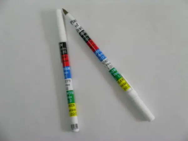 Ink Pen - Salvation