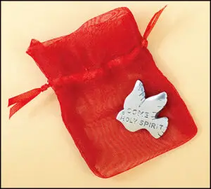 Pocket - Dove